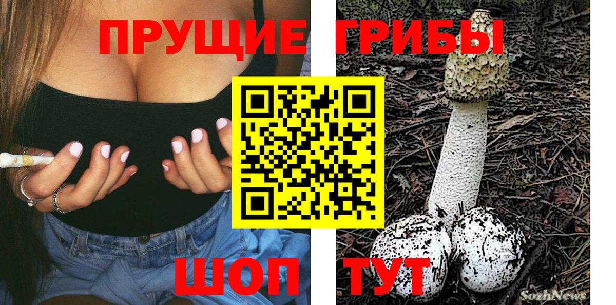 Псилоцибиновые грибы Psilocybine cubensis Орёл